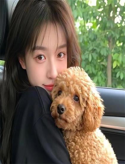 好姑娘MV视频-免费片播放器视频播放器大全